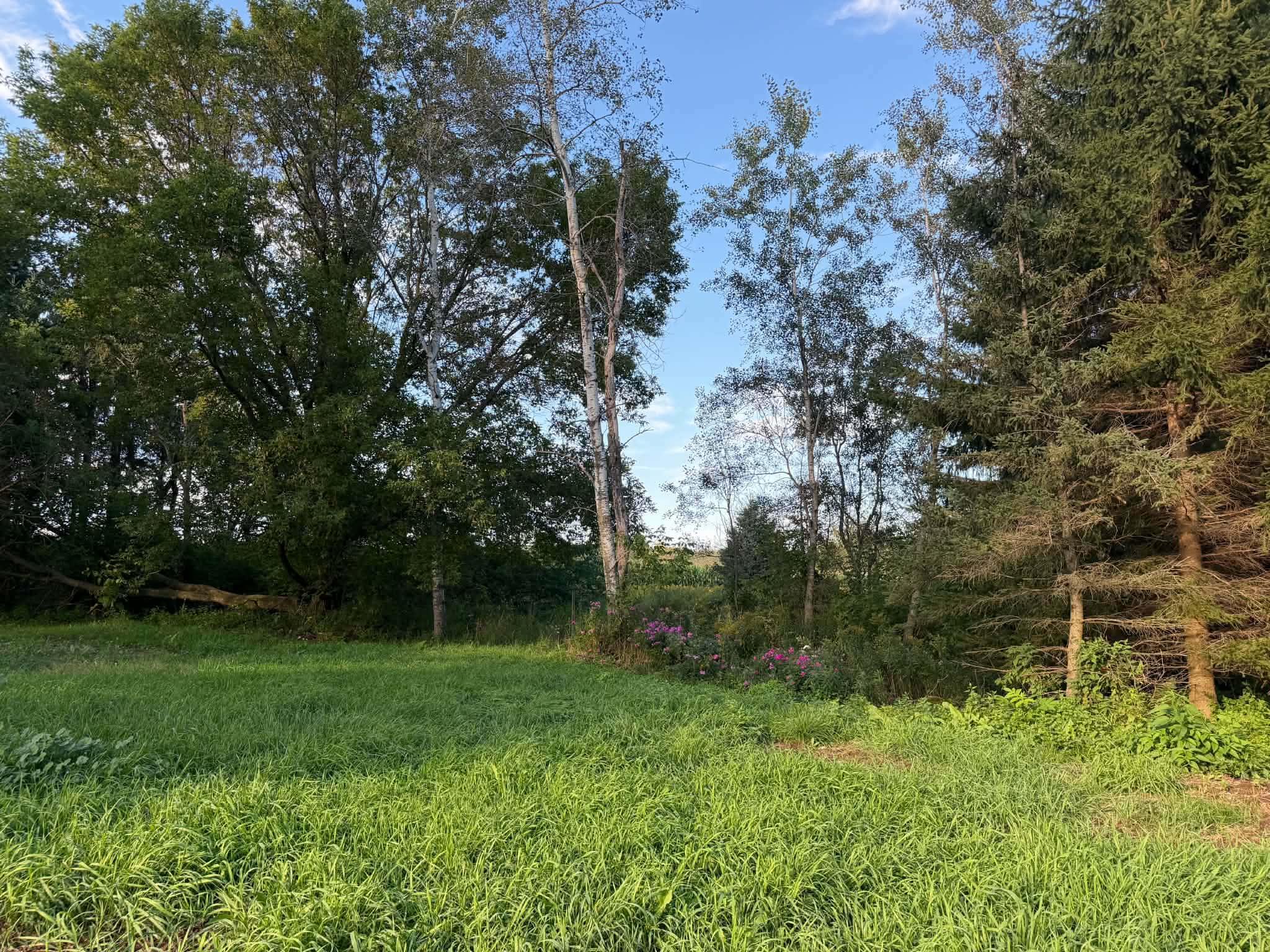 240179 MITCHELL LANE, Athens, Wisconsin 54411, 3 Bedrooms Bedrooms, ,2 BathroomsBathrooms,Residential,For Sale,240179 MITCHELL LANE,22604516
