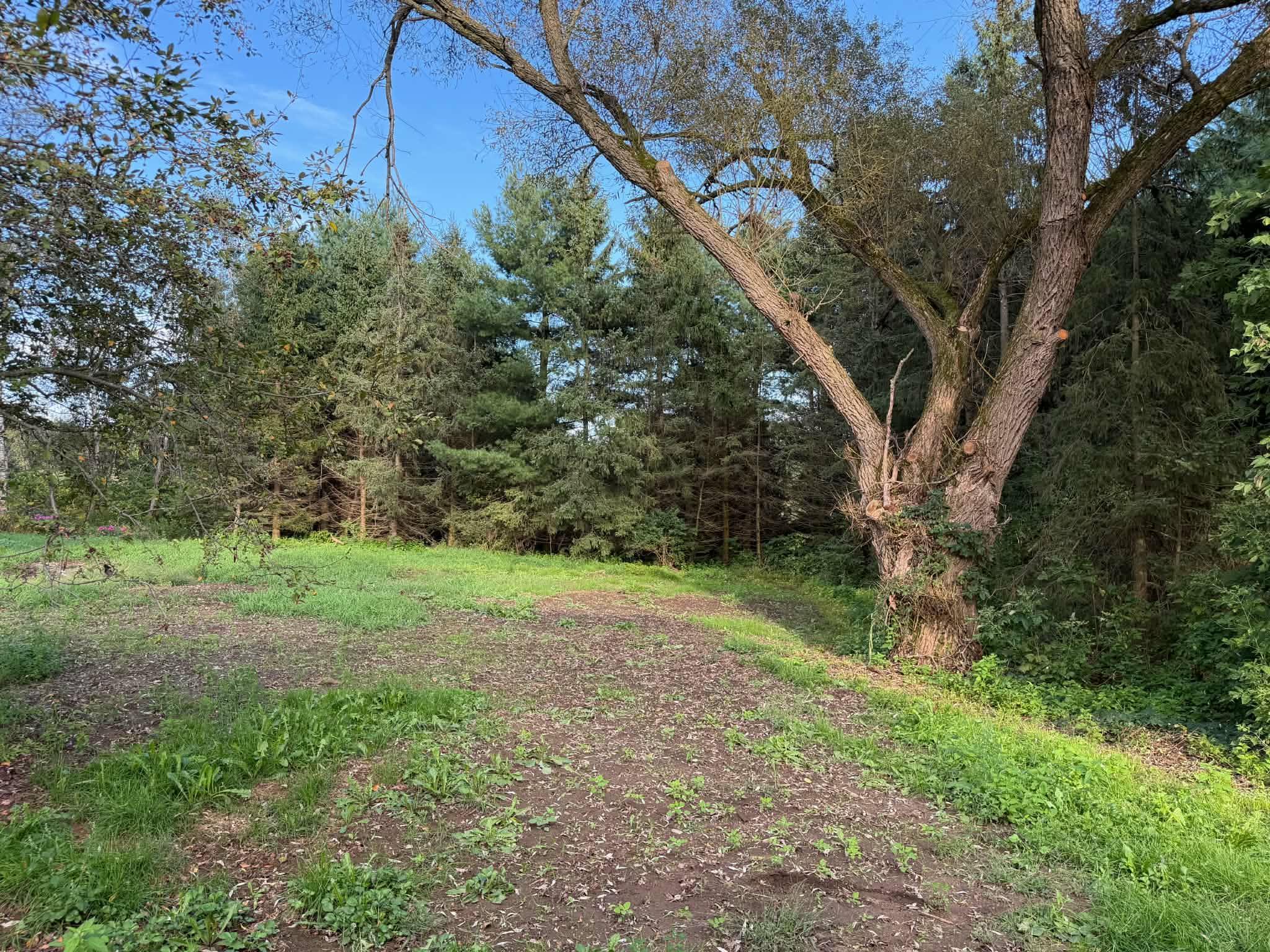 240179 MITCHELL LANE, Athens, Wisconsin 54411, 3 Bedrooms Bedrooms, ,2 BathroomsBathrooms,Residential,For Sale,240179 MITCHELL LANE,22604516