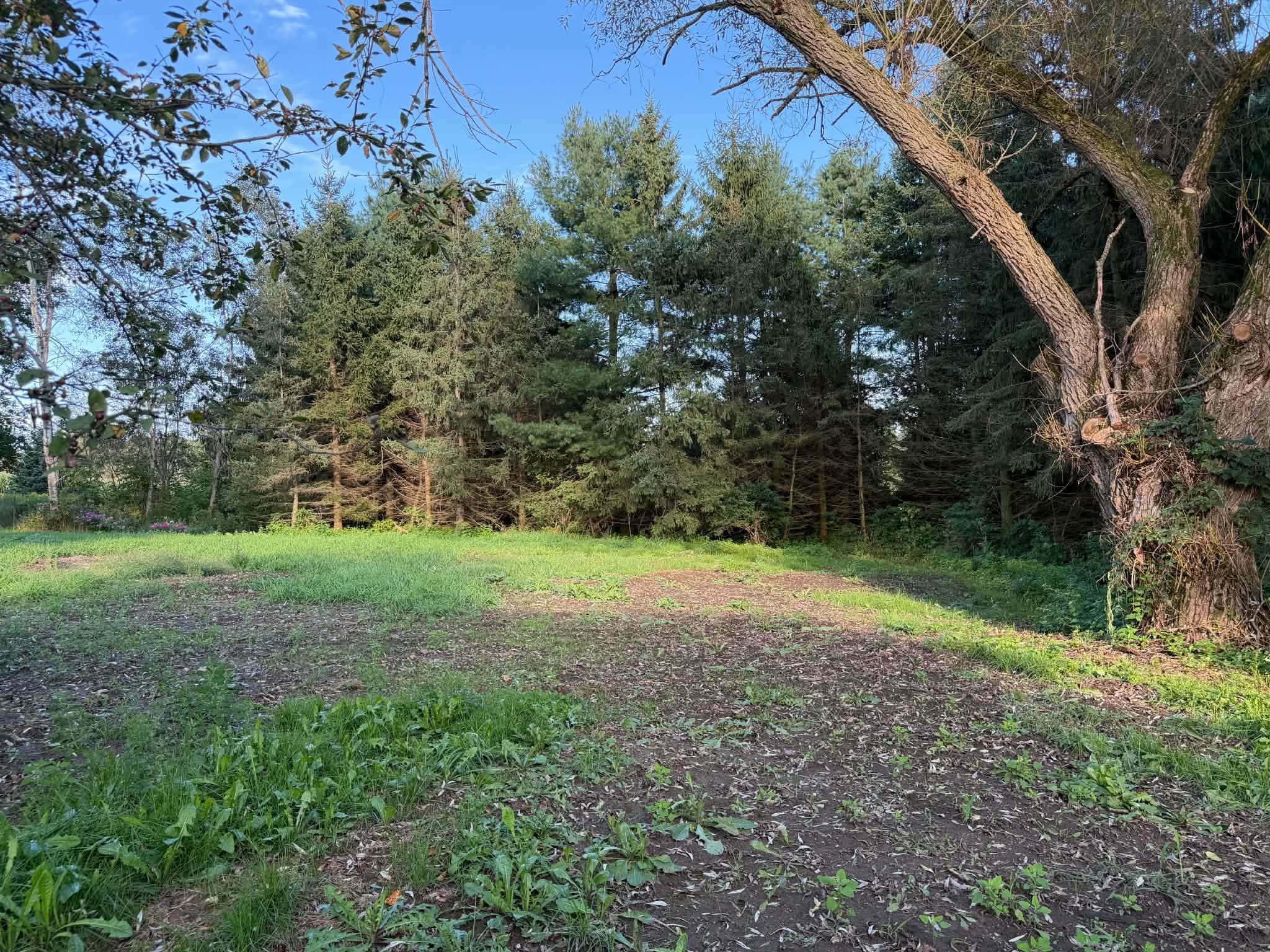 240179 MITCHELL LANE, Athens, Wisconsin 54411, 3 Bedrooms Bedrooms, ,2 BathroomsBathrooms,Residential,For Sale,240179 MITCHELL LANE,22604516