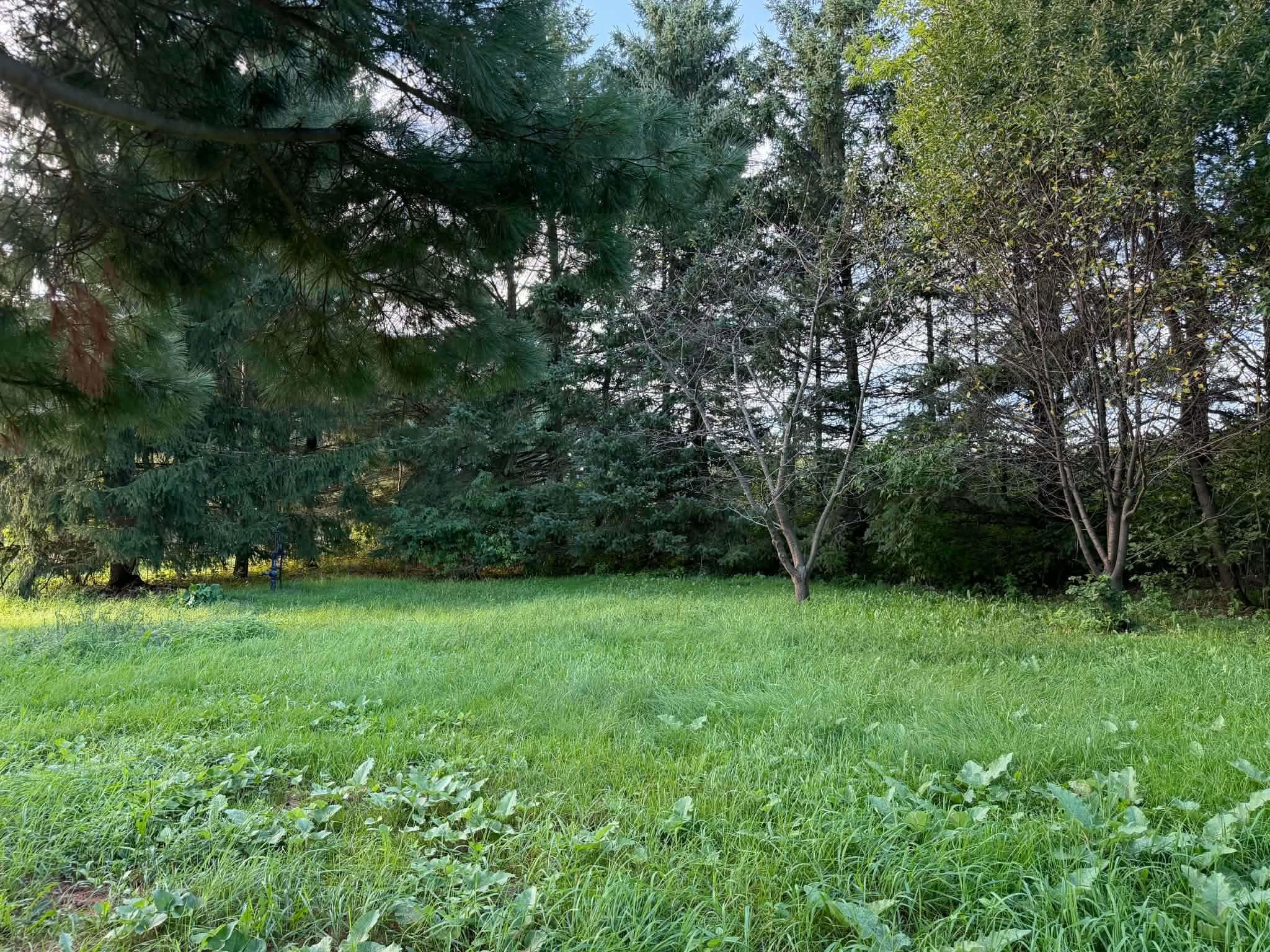 240179 MITCHELL LANE, Athens, Wisconsin 54411, 3 Bedrooms Bedrooms, ,2 BathroomsBathrooms,Residential,For Sale,240179 MITCHELL LANE,22604516