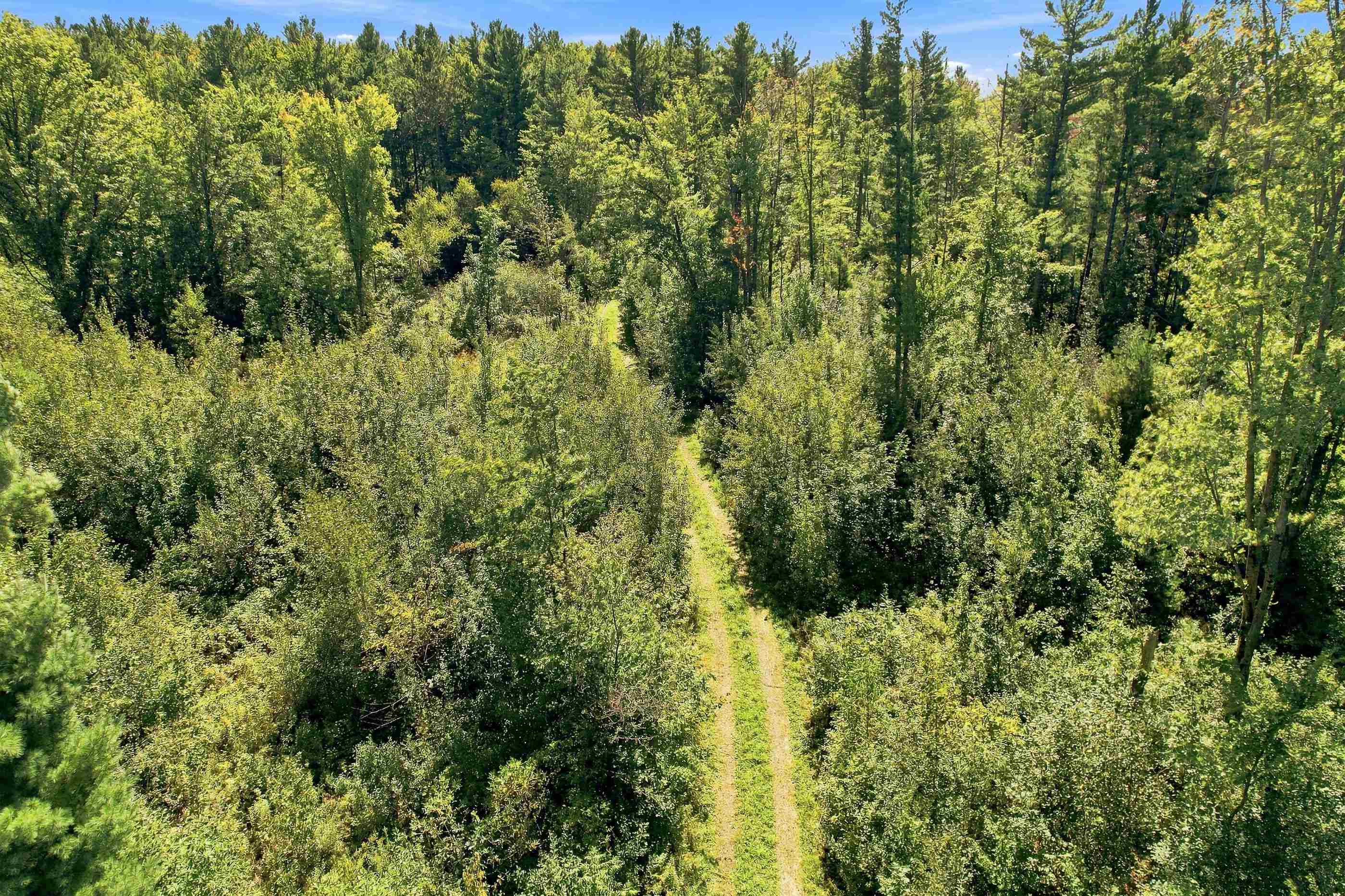 823 OAKWOOD DRIVE WEST, Mosinee, Wisconsin 54455, ,Land,For Sale,823 OAKWOOD DRIVE WEST,22604526