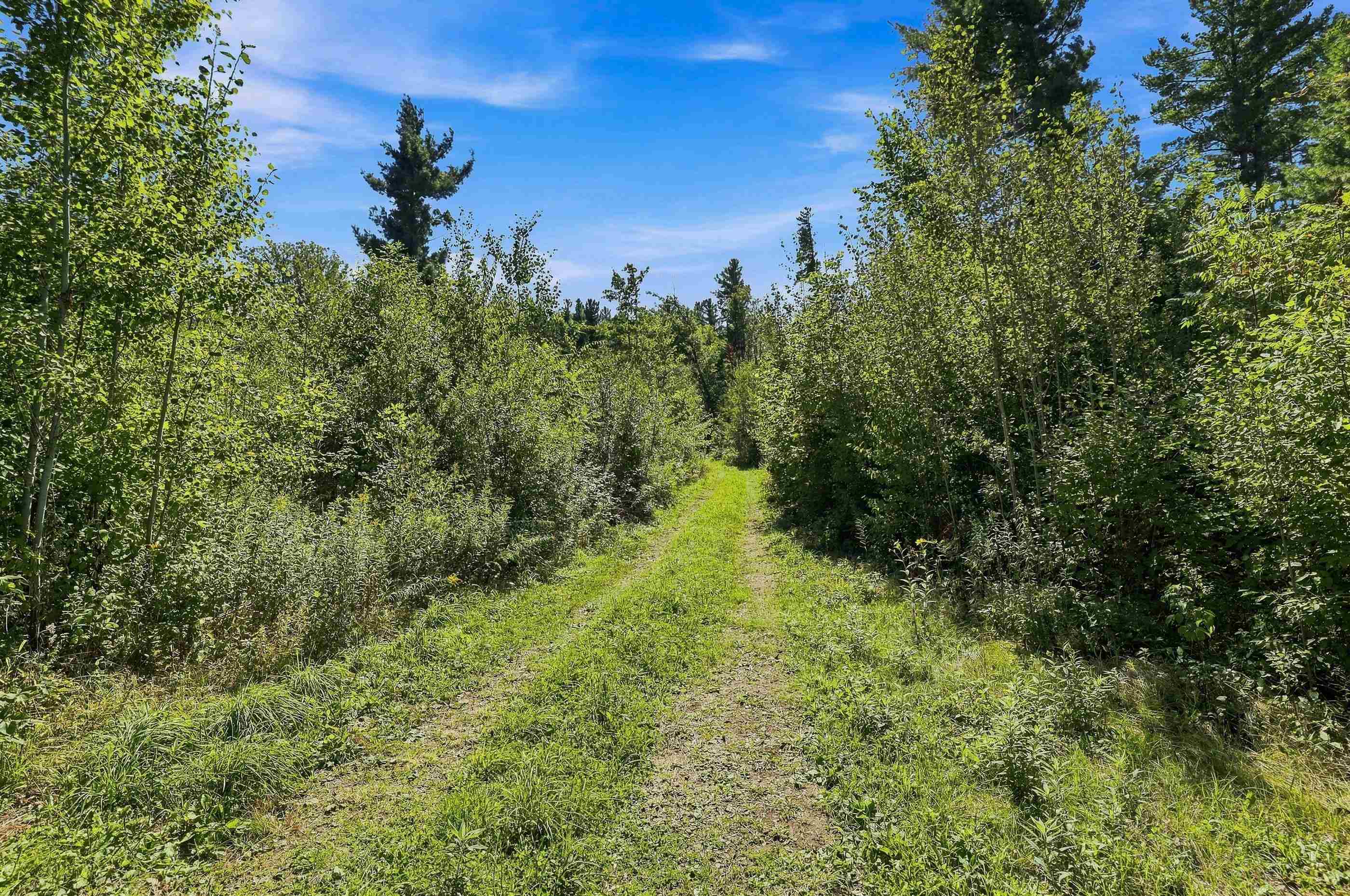 823 OAKWOOD DRIVE WEST, Mosinee, Wisconsin 54455, ,Land,For Sale,823 OAKWOOD DRIVE WEST,22604526