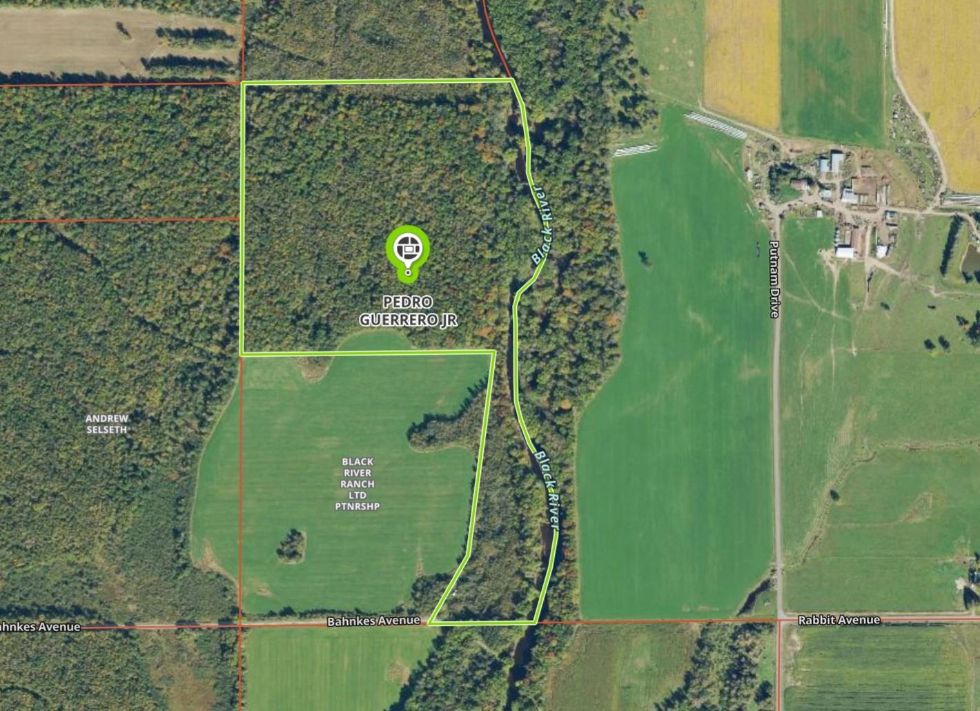 000 BAHNKES AVENUE, MAPLEHURST, Wisconsin 54459, ,Land,For Sale,000 BAHNKES AVENUE,22604543