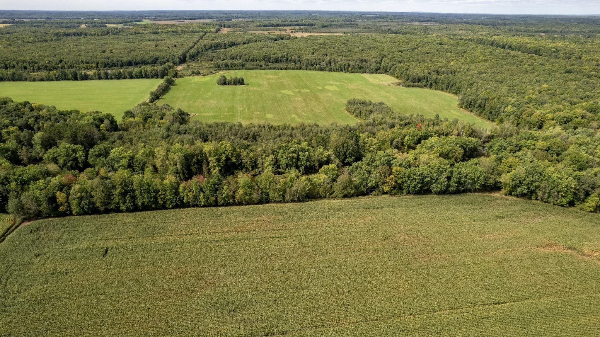 000 BAHNKES AVENUE, MAPLEHURST, Wisconsin 54459, ,Land,For Sale,000 BAHNKES AVENUE,22604543