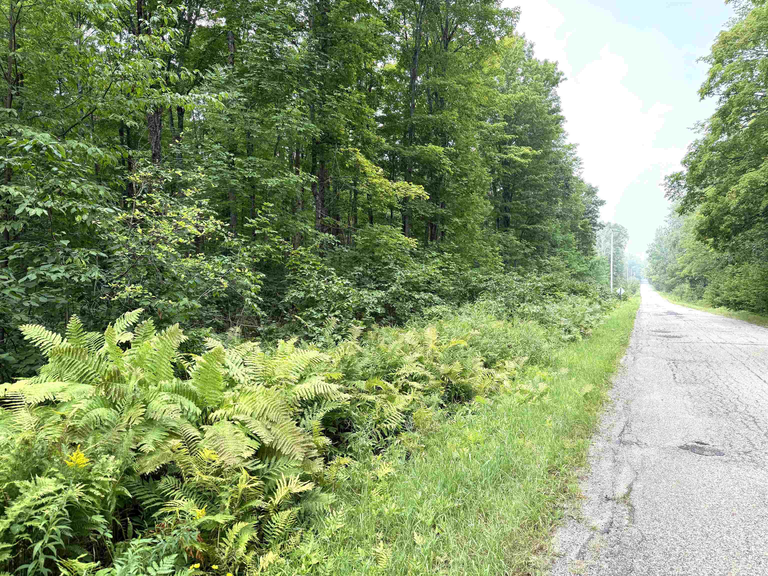 SPORTSMAN ROAD, Goodman, Wisconsin 54125, ,Land,For Sale,SPORTSMAN ROAD,22604553