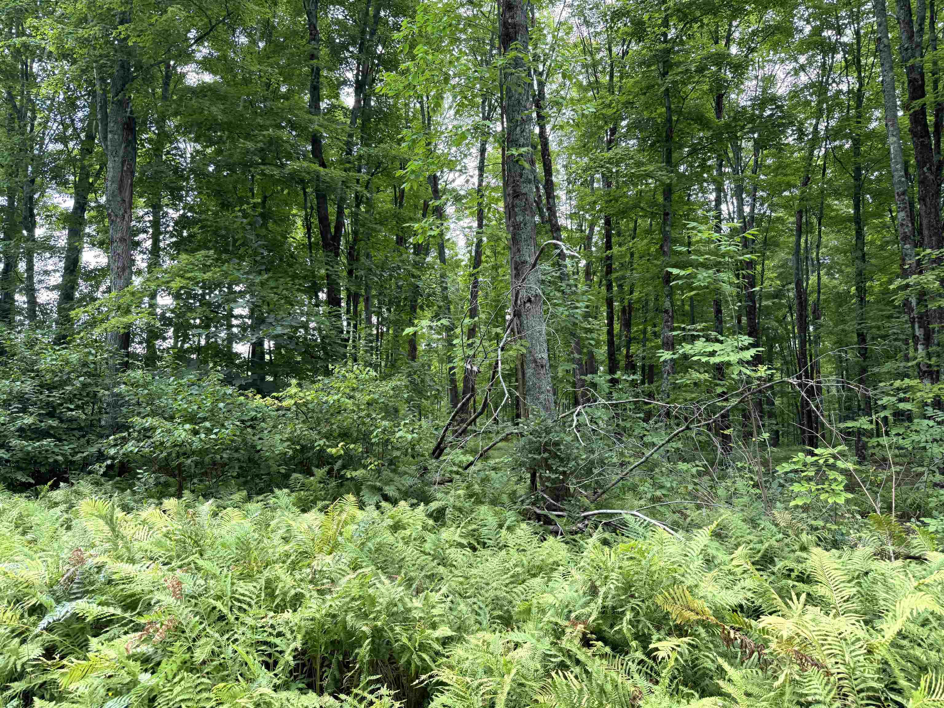SPORTSMAN ROAD, Goodman, Wisconsin 54125, ,Land,For Sale,SPORTSMAN ROAD,22604553