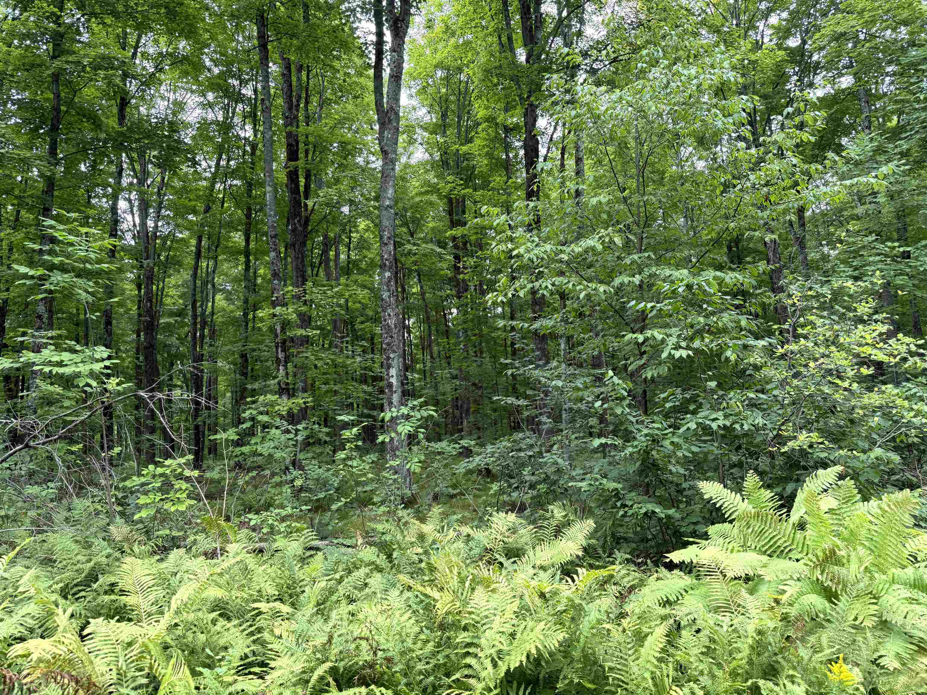 SPORTSMAN ROAD, Goodman, Wisconsin 54125, ,Land,For Sale,SPORTSMAN ROAD,22604553