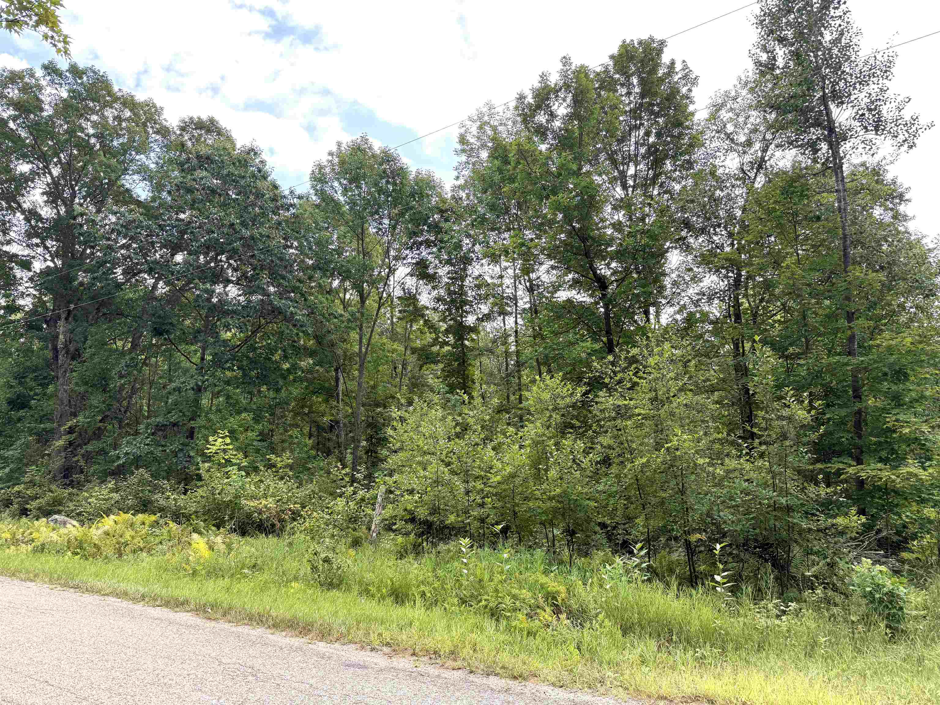SPORTSMAN ROAD, Goodman, Wisconsin 54125, ,Land,For Sale,SPORTSMAN ROAD,22604553