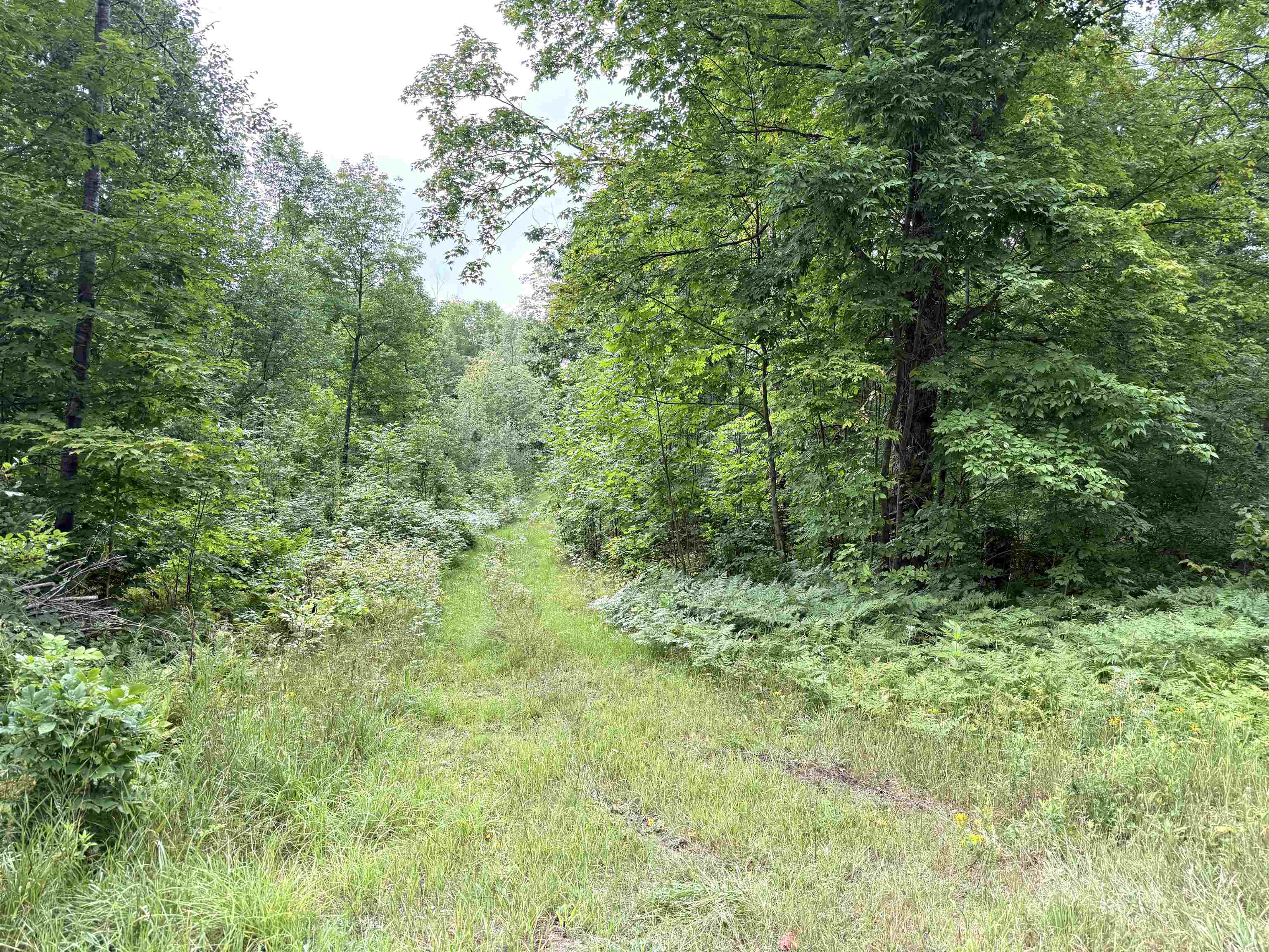 SPORTSMAN ROAD, Goodman, Wisconsin 54125, ,Land,For Sale,SPORTSMAN ROAD,22604553