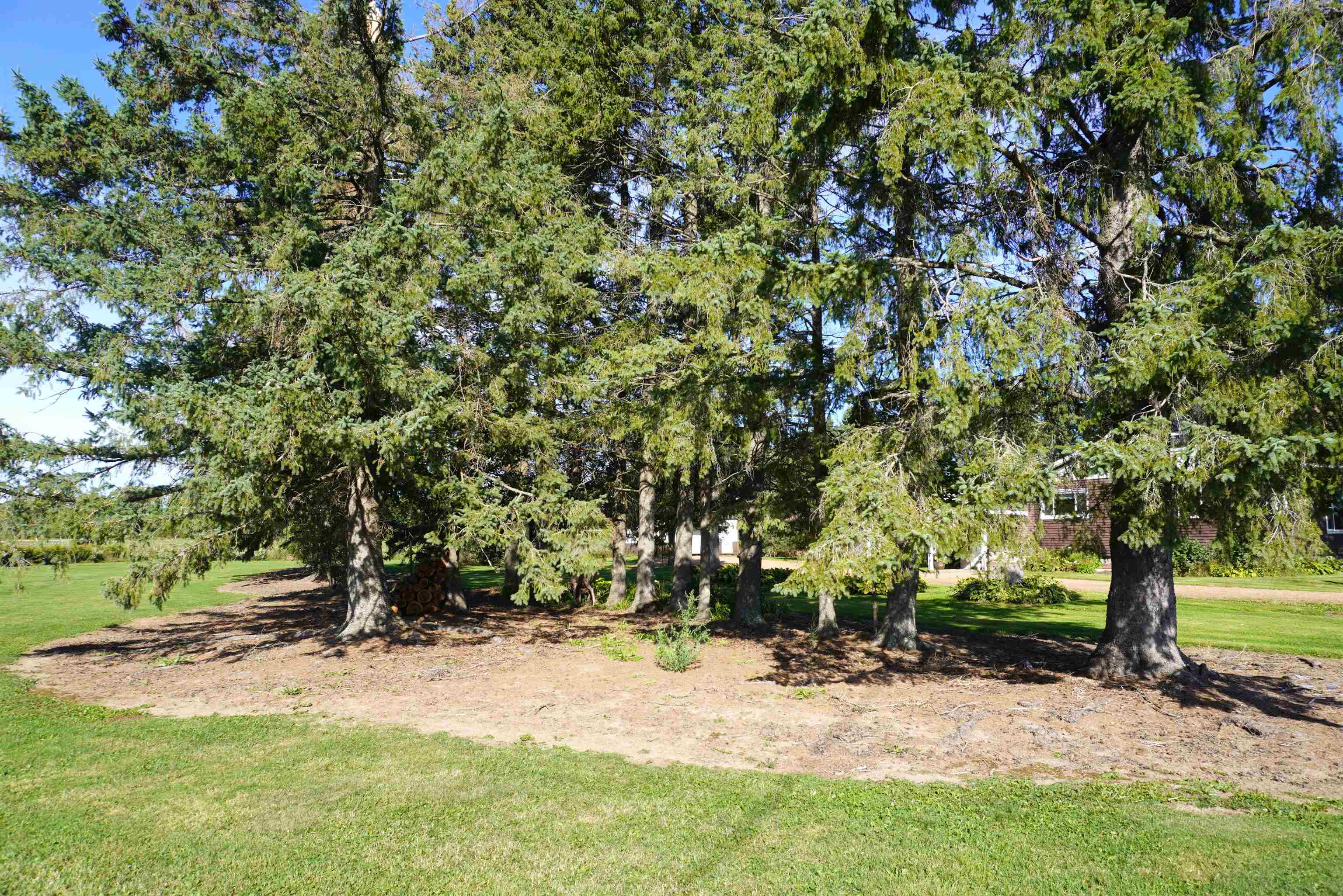 N357 COUNTY ROAD X, Merrill, Wisconsin 54452, 3 Bedrooms Bedrooms, ,1 BathroomBathrooms,Residential,For Sale,N357 COUNTY ROAD X,22604564