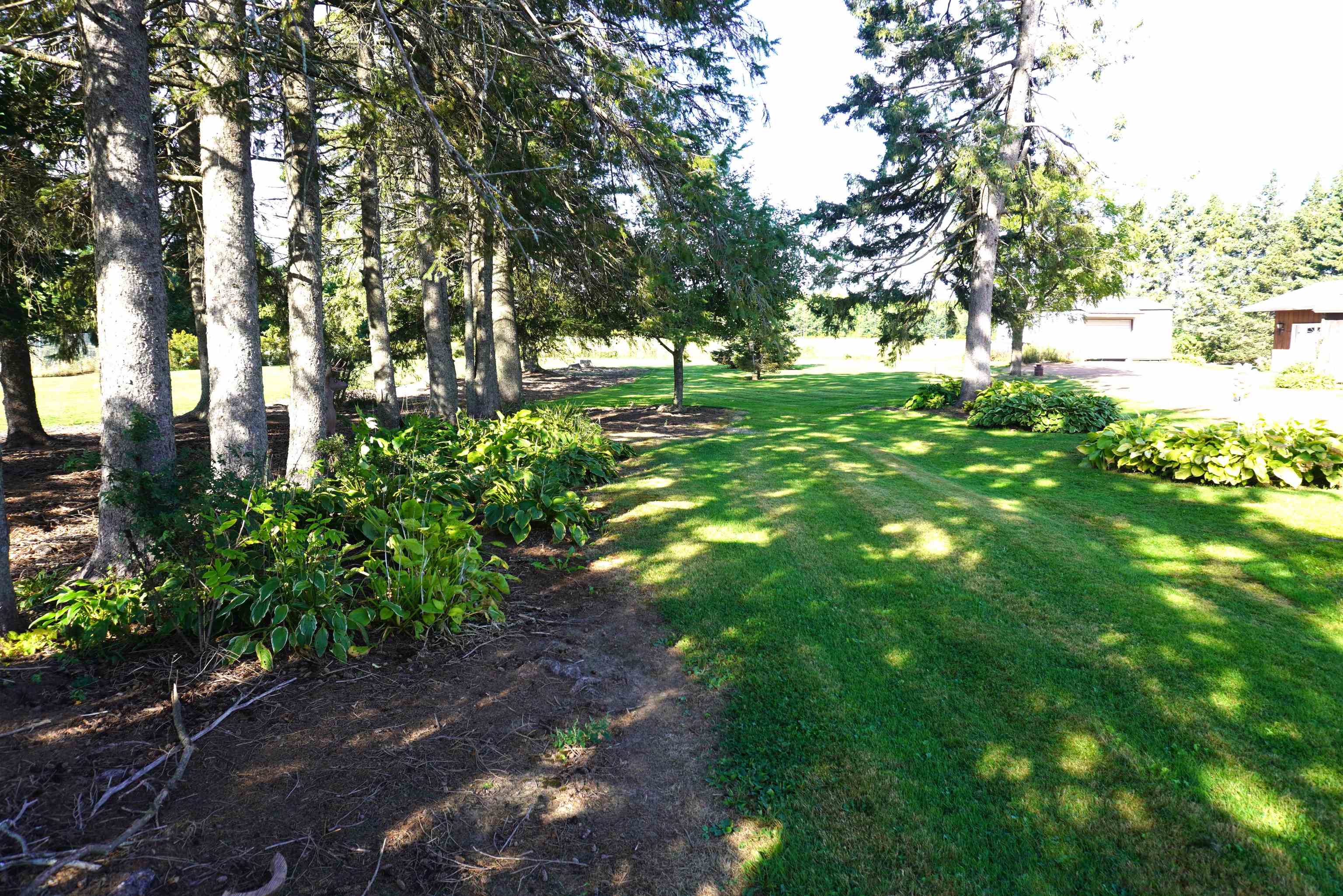 N357 COUNTY ROAD X, Merrill, Wisconsin 54452, 3 Bedrooms Bedrooms, ,1 BathroomBathrooms,Residential,For Sale,N357 COUNTY ROAD X,22604564
