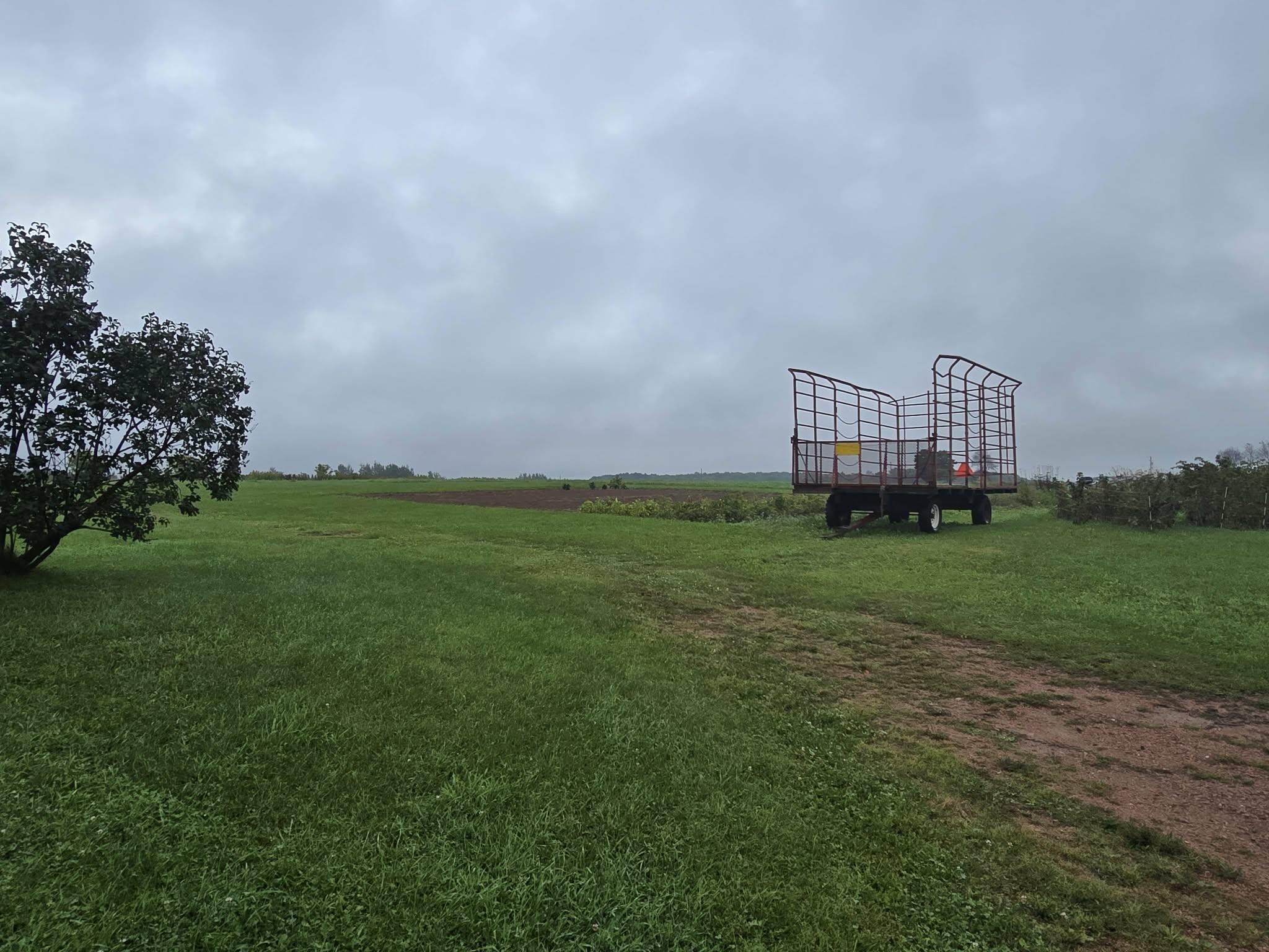 218851 CARDINAL LANE, Edgar, Wisconsin 54426, 7 Bedrooms Bedrooms, ,2 BathroomsBathrooms,Residential,For Sale,218851 CARDINAL LANE,22604574