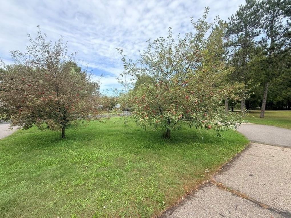 1542 PINE GROVE DRIVE, Kronenwetter, Wisconsin 54455, 3 Bedrooms Bedrooms, ,2 BathroomsBathrooms,Residential,For Sale,1542 PINE GROVE DRIVE,22604577