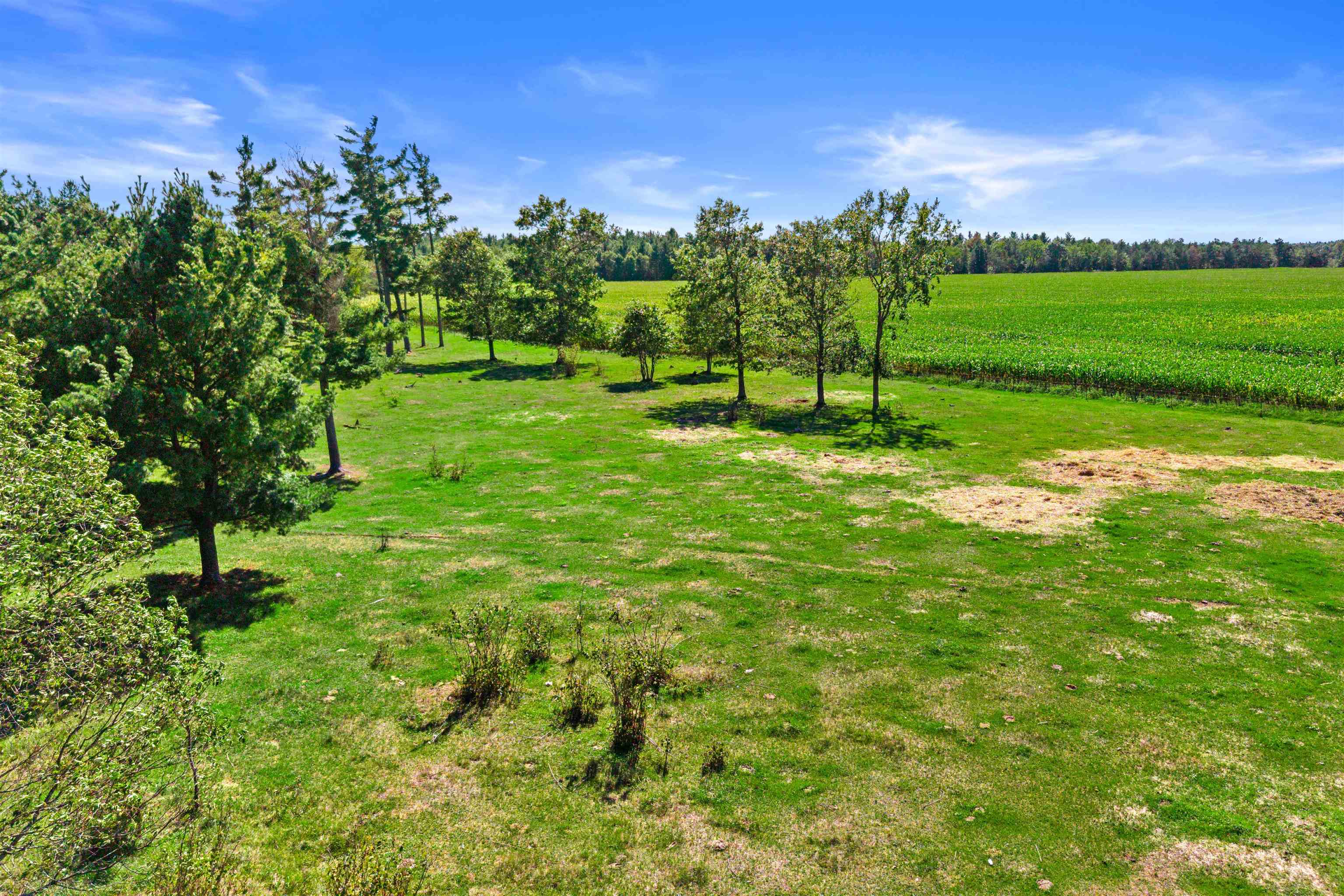 36.48 Acres MOL GRANT STREET, Wisconsin Rapids, Wisconsin 54494, ,Land,For Sale,36.48 Acres MOL GRANT STREET,22604587