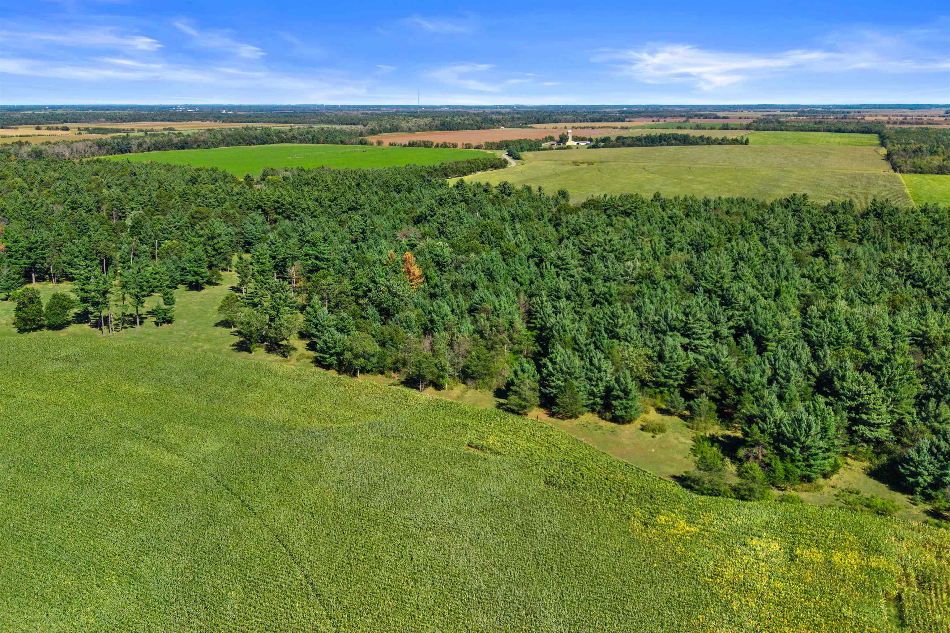36.48 Acres MOL GRANT STREET, Wisconsin Rapids, Wisconsin 54494, ,Land,For Sale,36.48 Acres MOL GRANT STREET,22604587