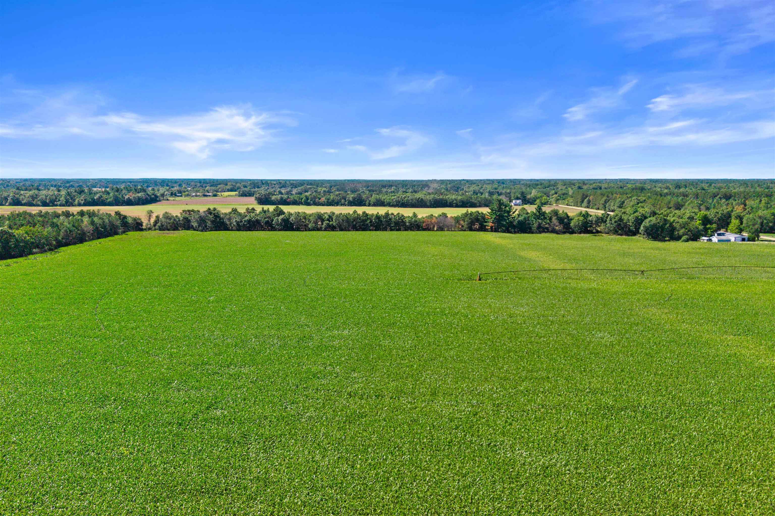 10741 GRANT STREET, Wisconsin Rapids, Wisconsin 54494, ,Land,For Sale,10741 GRANT STREET,22604593