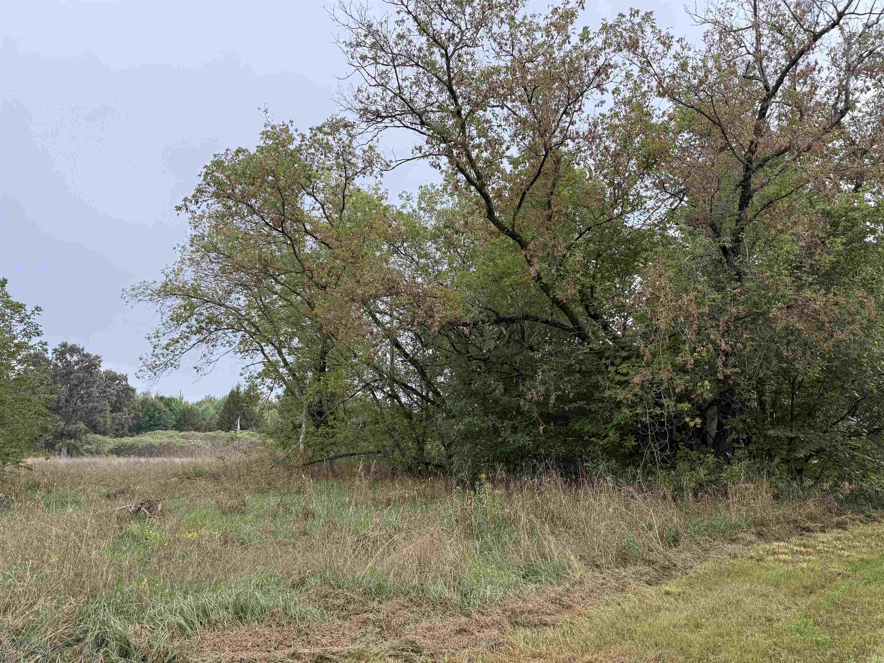 205477 DEPOT ROAD, Mosinee, Wisconsin 54455, 4 Bedrooms Bedrooms, ,1 BathroomBathrooms,Residential,For Sale,205477 DEPOT ROAD,22604597