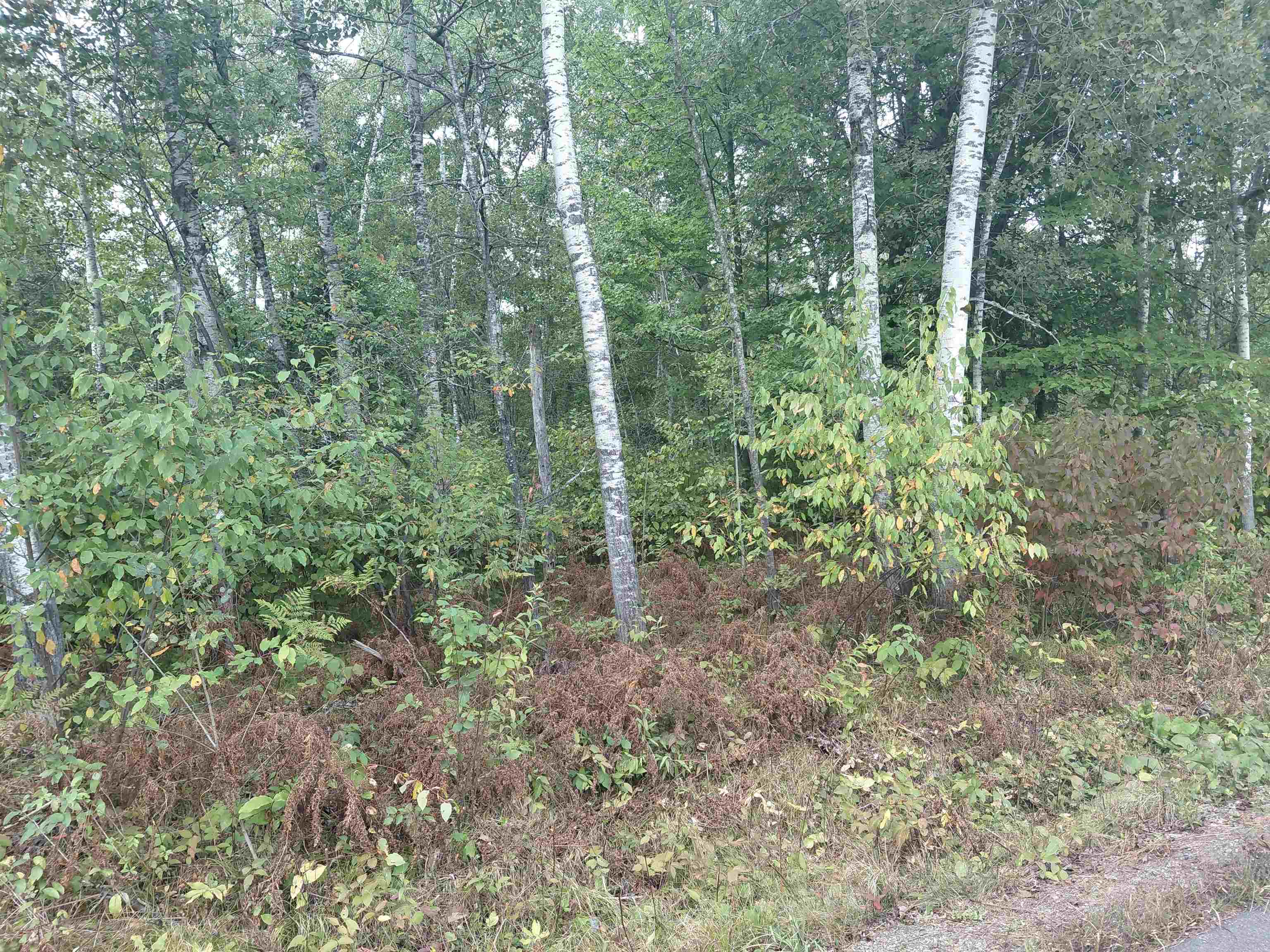 On US HIGHWAY 8, Rhinelander, Wisconsin 54501, ,Land,For Sale,On US HIGHWAY 8,22604607