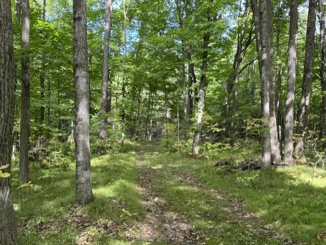 00 COUNTY ROAD K, Irma, Wisconsin 54442, ,Land,For Sale,00 COUNTY ROAD K,22604612