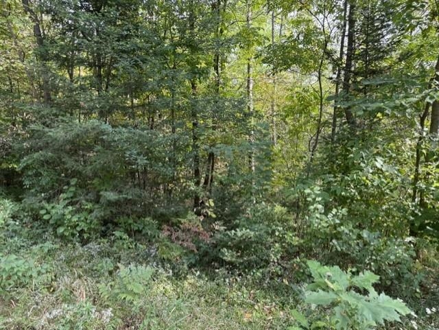 00 COUNTY ROAD K, Irma, Wisconsin 54442, ,Land,For Sale,00 COUNTY ROAD K,22604612