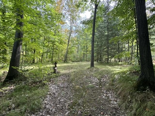 00 COUNTY ROAD K, Irma, Wisconsin 54442, ,Land,For Sale,00 COUNTY ROAD K,22604612