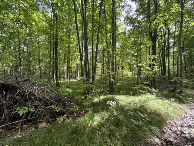 00 COUNTY ROAD K, Irma, Wisconsin 54442, ,Land,For Sale,00 COUNTY ROAD K,22604612