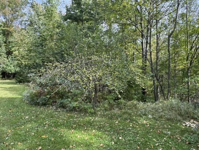 00 COUNTY ROAD K, Irma, Wisconsin 54442, ,Land,For Sale,00 COUNTY ROAD K,22604612