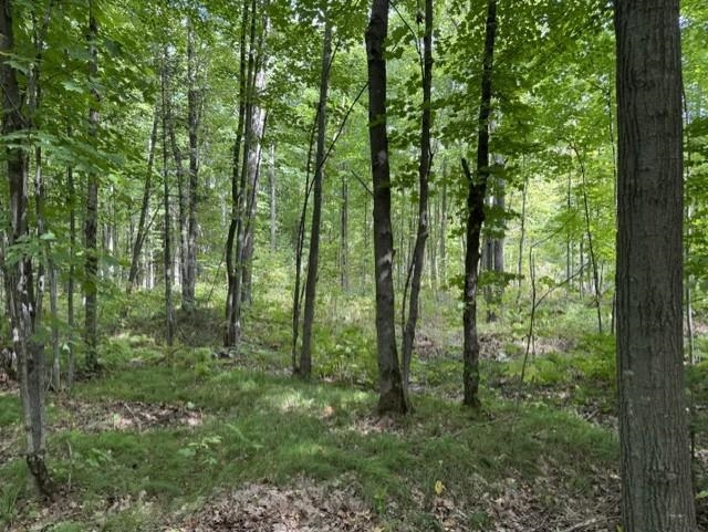 00 COUNTY ROAD K, Irma, Wisconsin 54442, ,Land,For Sale,00 COUNTY ROAD K,22604612