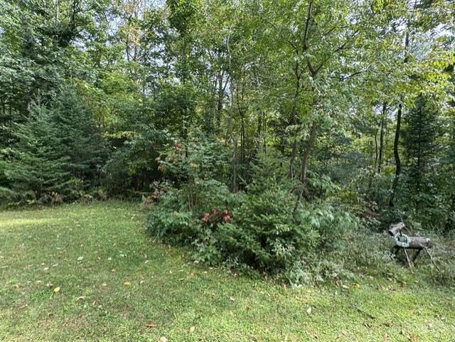 00 COUNTY ROAD K, Irma, Wisconsin 54442, ,Land,For Sale,00 COUNTY ROAD K,22604612