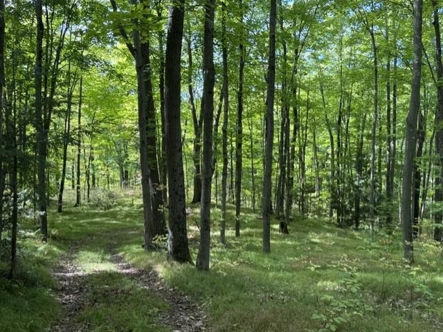 00 COUNTY ROAD K, Irma, Wisconsin 54442, ,Land,For Sale,00 COUNTY ROAD K,22604612