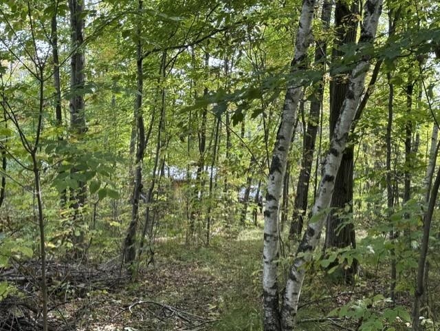 00 COUNTY ROAD K, Irma, Wisconsin 54442, ,Land,For Sale,00 COUNTY ROAD K,22604612
