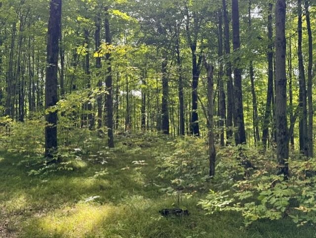 00 COUNTY ROAD K, Irma, Wisconsin 54442, ,Land,For Sale,00 COUNTY ROAD K,22604612