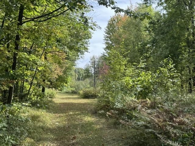 00 COUNTY ROAD K, Irma, Wisconsin 54442, ,Land,For Sale,00 COUNTY ROAD K,22604612