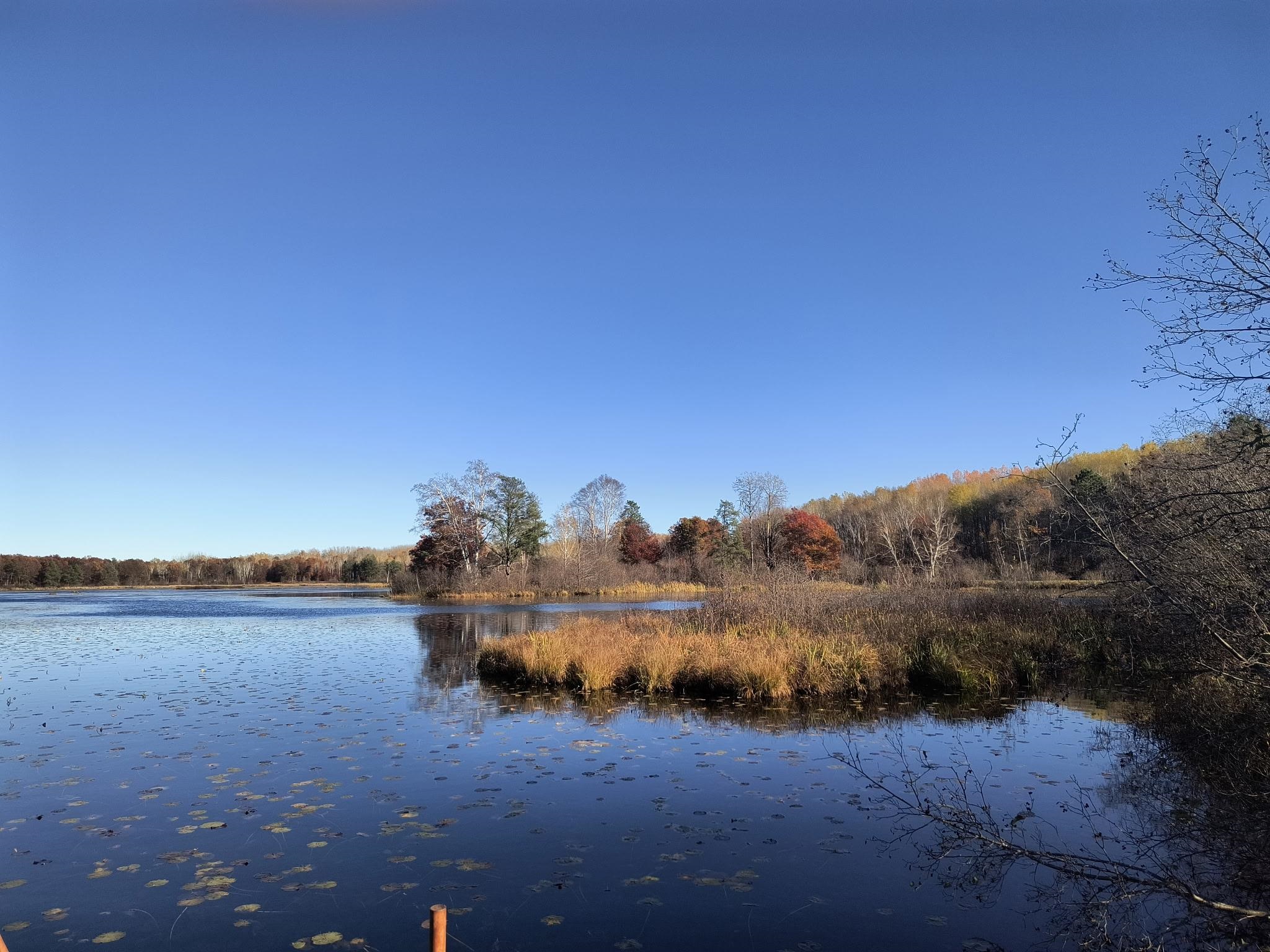 4912 CRANBERRY ROAD, Harshaw, Wisconsin 54529, 2 Bedrooms Bedrooms, ,3 BathroomsBathrooms,Residential,For Sale,4912 CRANBERRY ROAD,22604620