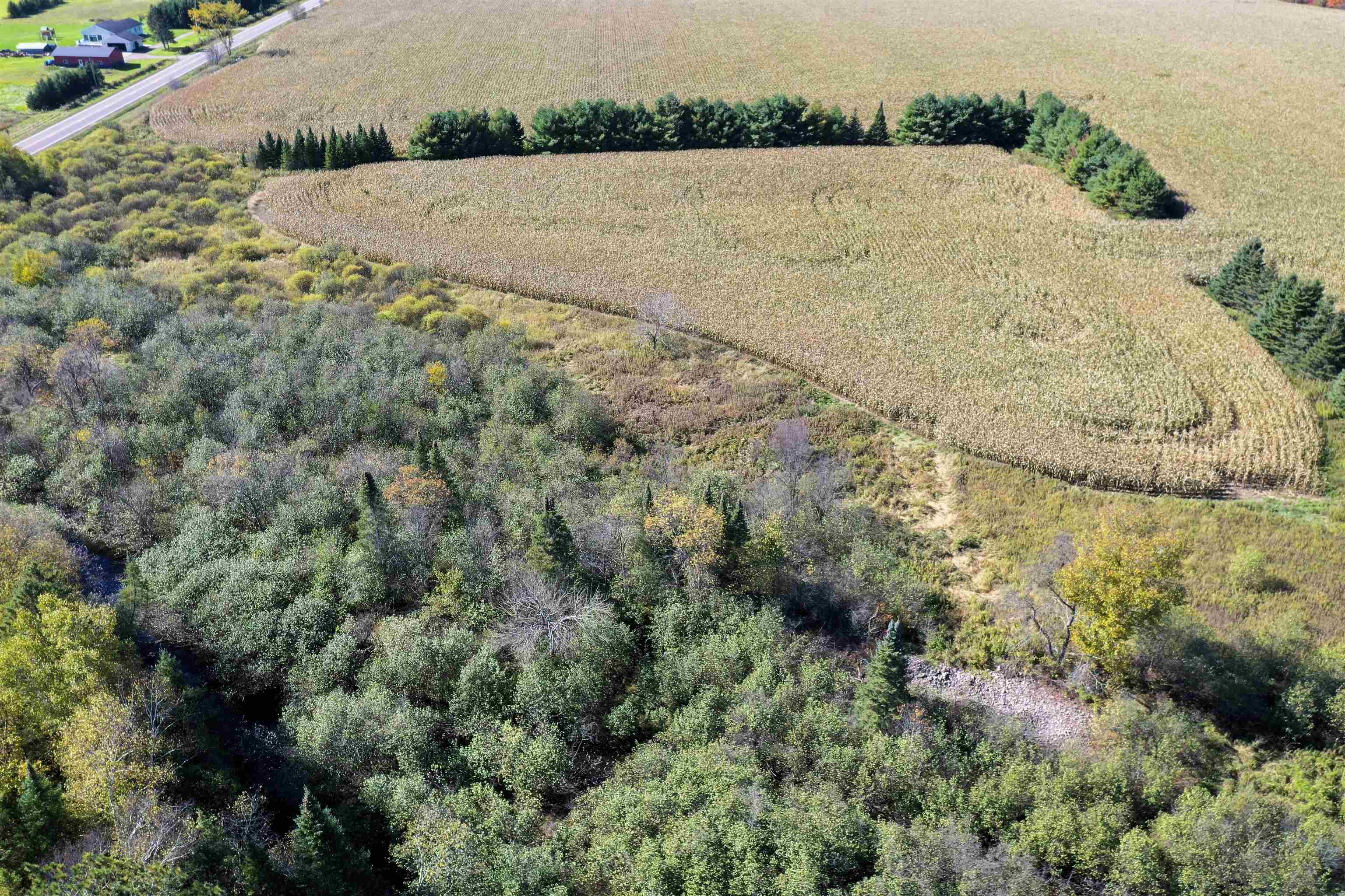 N5239 LEMKE CREEK ROAD, Rib Lake, Wisconsin 54470, ,Land,For Sale,N5239 LEMKE CREEK ROAD,22604642