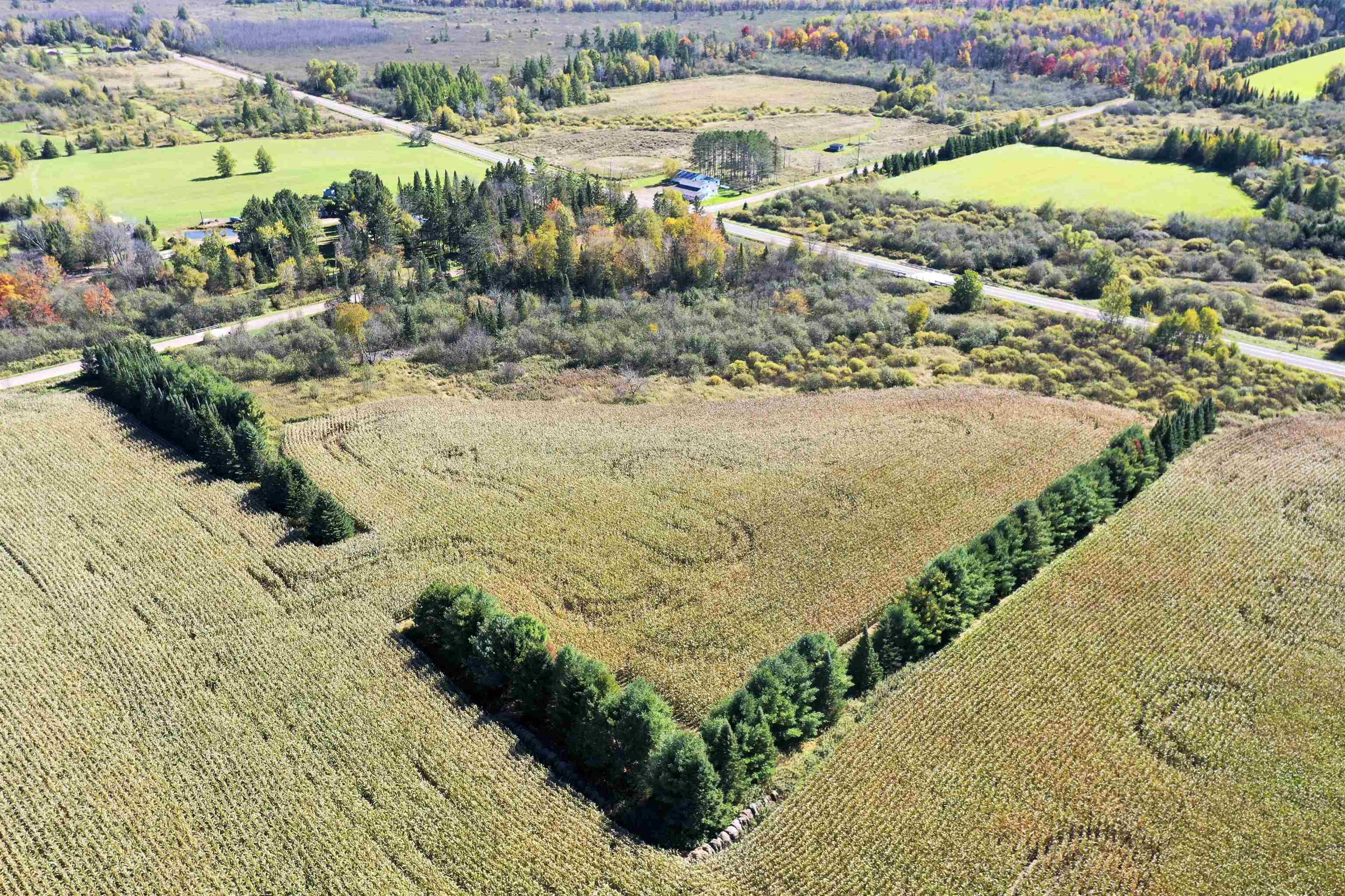 N5239 LEMKE CREEK ROAD, Rib Lake, Wisconsin 54470, ,Land,For Sale,N5239 LEMKE CREEK ROAD,22604642