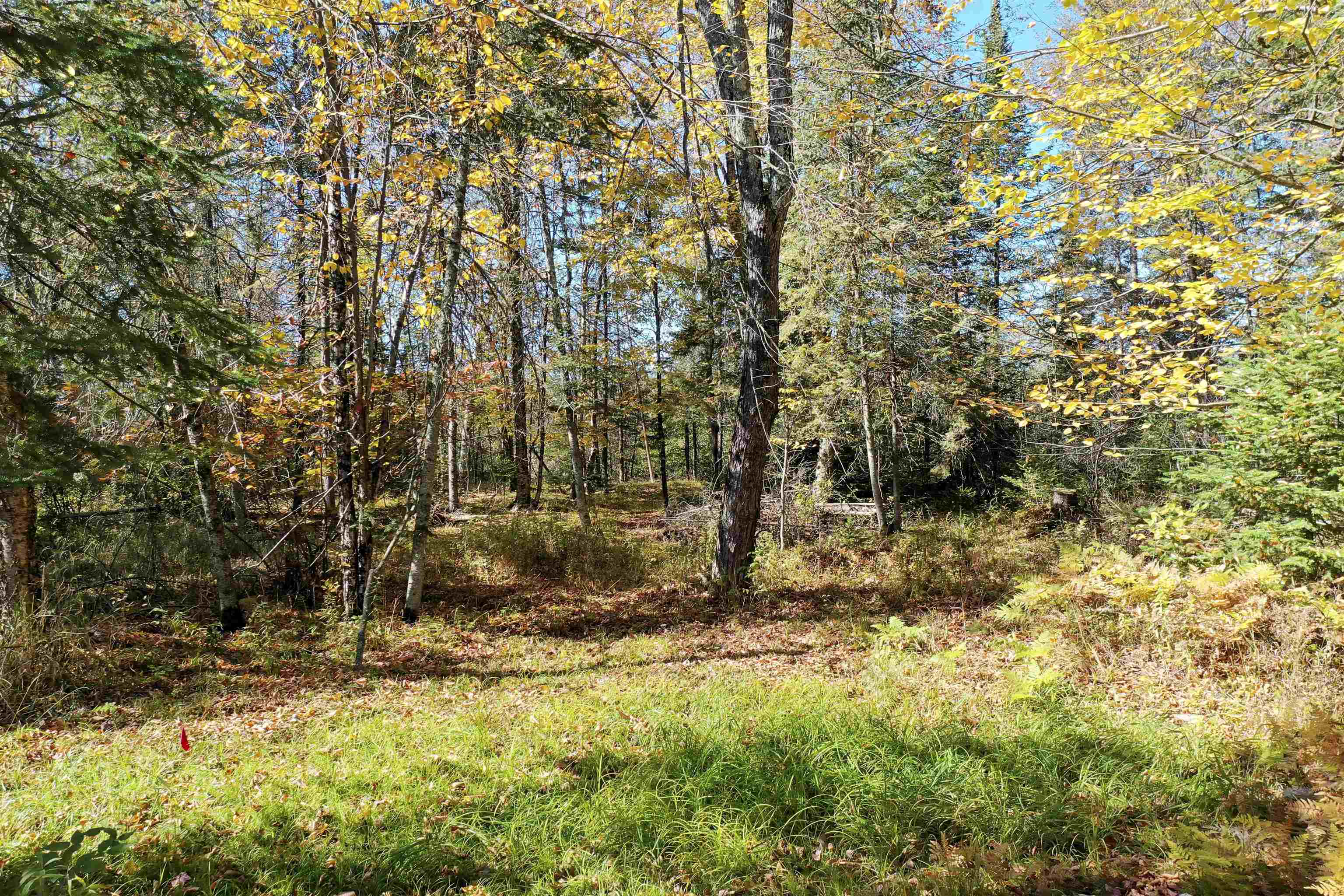 N5239 LEMKE CREEK ROAD, Rib Lake, Wisconsin 54470, ,Land,For Sale,N5239 LEMKE CREEK ROAD,22604642