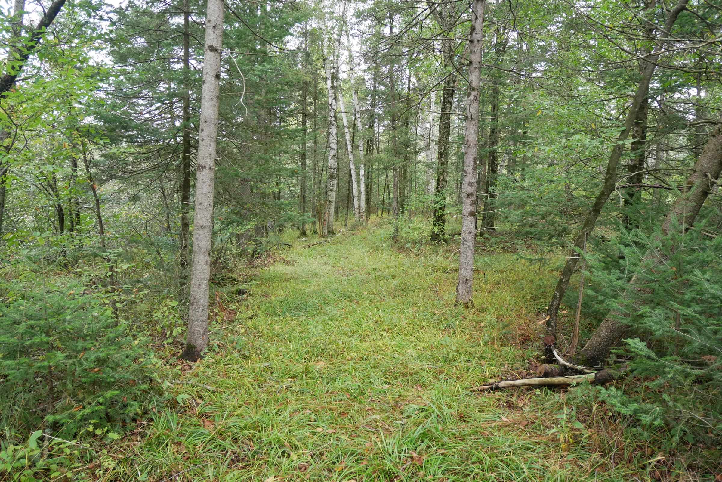 N5239 LEMKE CREEK ROAD, Rib Lake, Wisconsin 54470, ,Land,For Sale,N5239 LEMKE CREEK ROAD,22604642