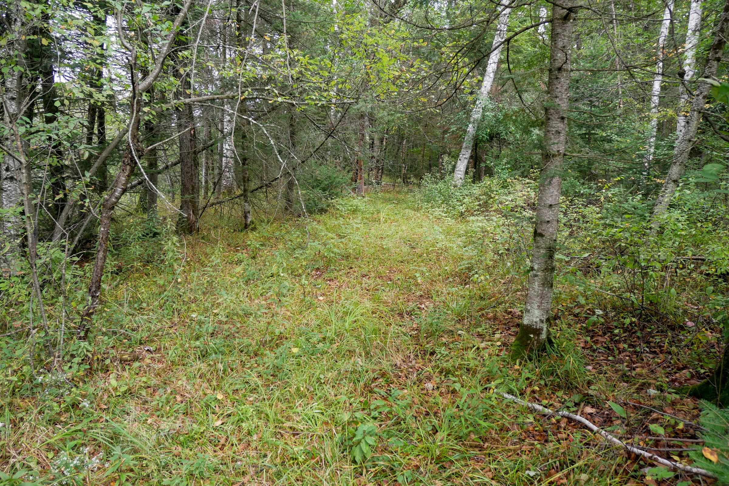 N5239 LEMKE CREEK ROAD, Rib Lake, Wisconsin 54470, ,Land,For Sale,N5239 LEMKE CREEK ROAD,22604642