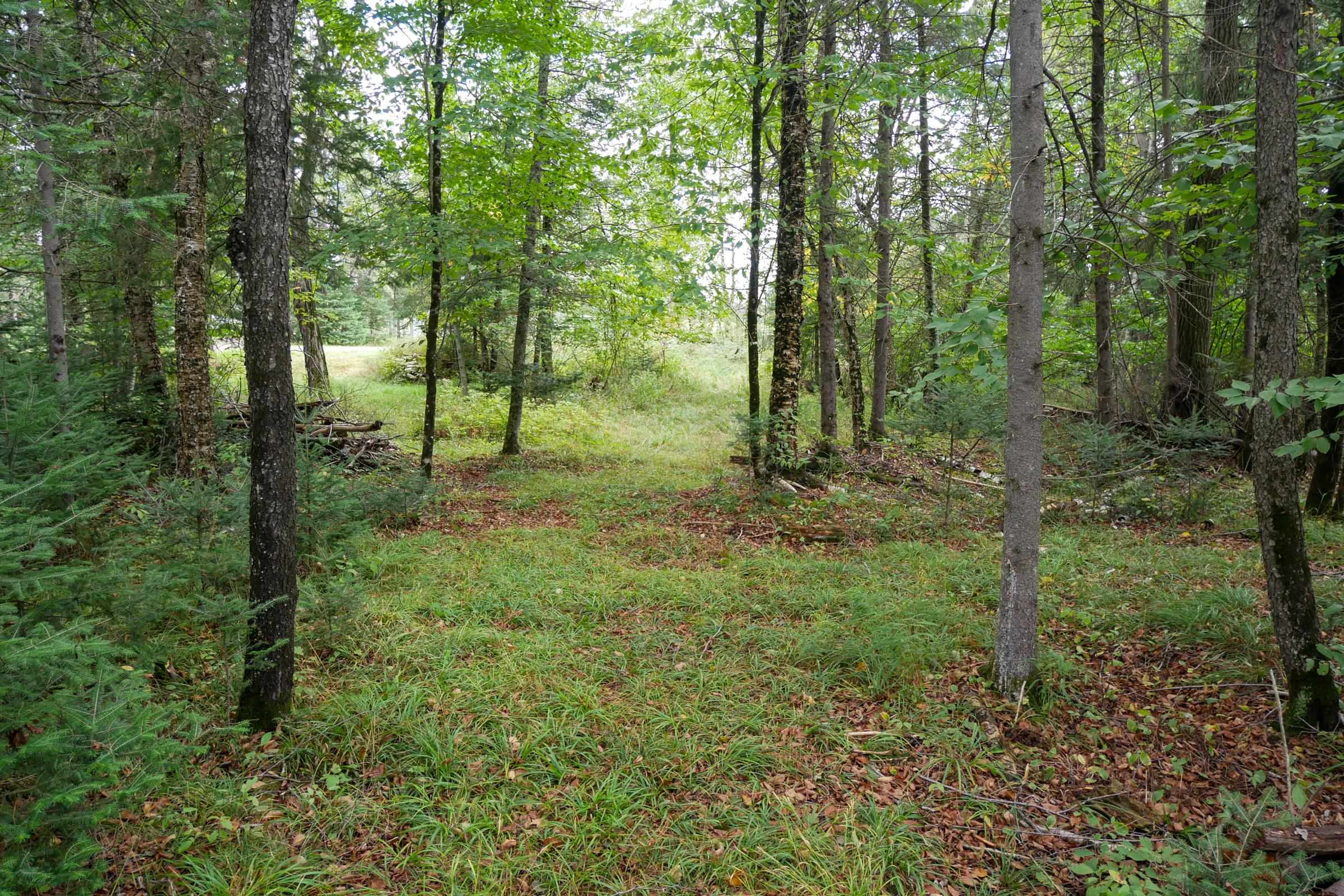 N5239 LEMKE CREEK ROAD, Rib Lake, Wisconsin 54470, ,Land,For Sale,N5239 LEMKE CREEK ROAD,22604642