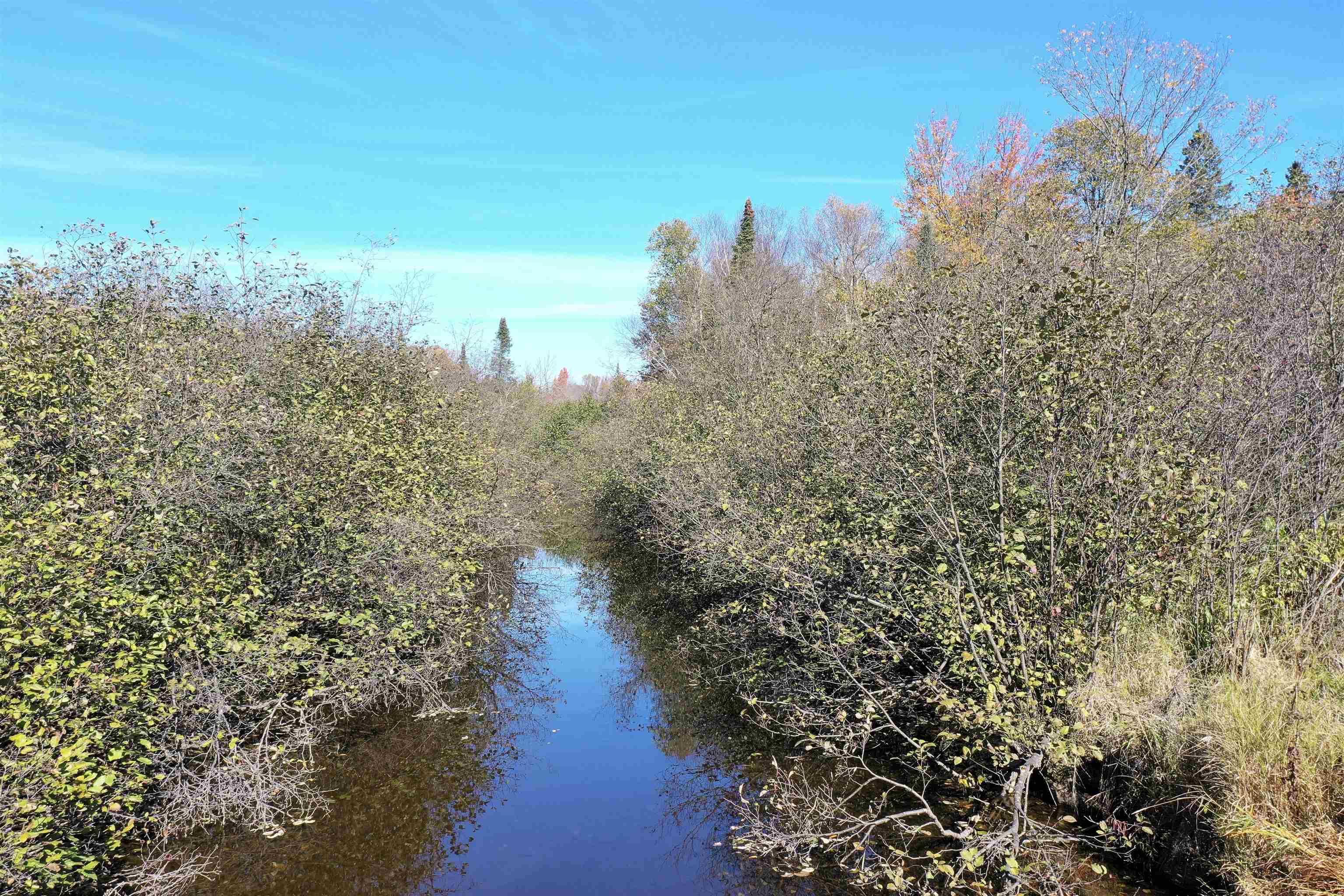 N5239 LEMKE CREEK ROAD, Rib Lake, Wisconsin 54470, ,Land,For Sale,N5239 LEMKE CREEK ROAD,22604642