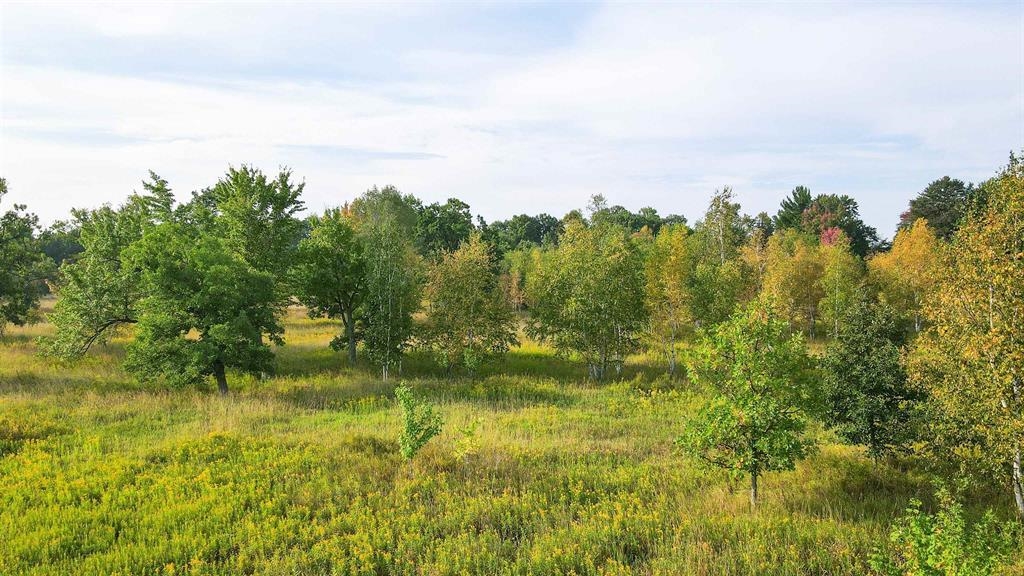 40 Acres COUNTY ROAD II, Rudolph, Wisconsin 54475, ,Land,For Sale,40 Acres COUNTY ROAD II,22604643