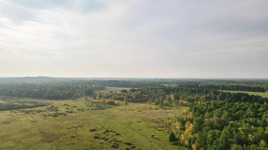 40 Acres COUNTY ROAD II, Rudolph, Wisconsin 54475, ,Land,For Sale,40 Acres COUNTY ROAD II,22604643