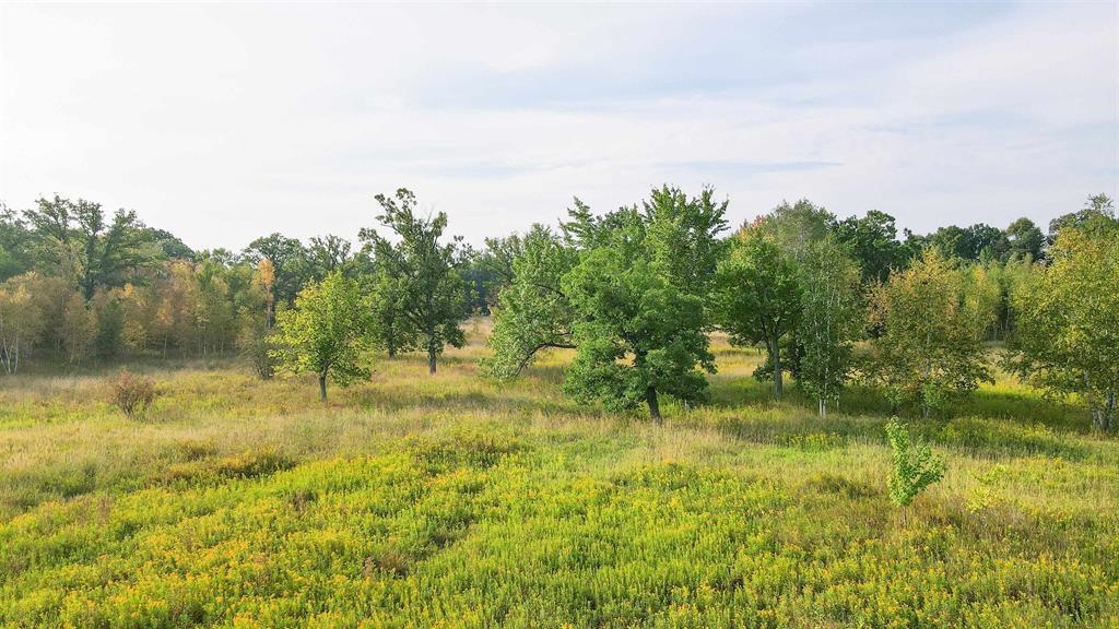 40 Acres COUNTY ROAD II, Rudolph, Wisconsin 54475, ,Land,For Sale,40 Acres COUNTY ROAD II,22604643