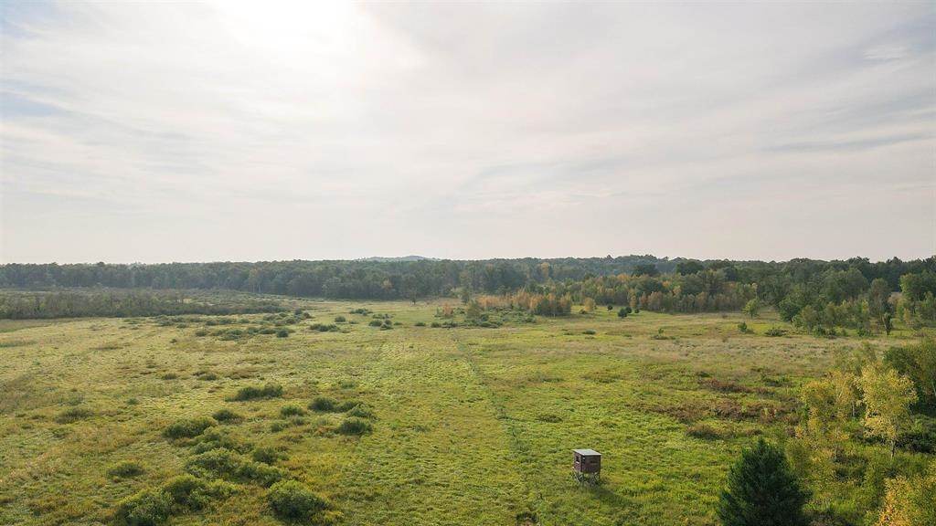 40 Acres COUNTY ROAD II, Rudolph, Wisconsin 54475, ,Land,For Sale,40 Acres COUNTY ROAD II,22604643