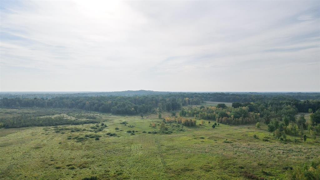 40 Acres COUNTY ROAD II, Rudolph, Wisconsin 54475, ,Land,For Sale,40 Acres COUNTY ROAD II,22604643