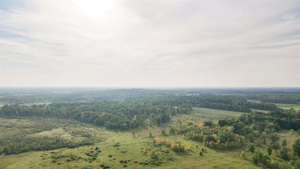 40 Acres COUNTY ROAD II, Rudolph, Wisconsin 54475, ,Land,For Sale,40 Acres COUNTY ROAD II,22604643