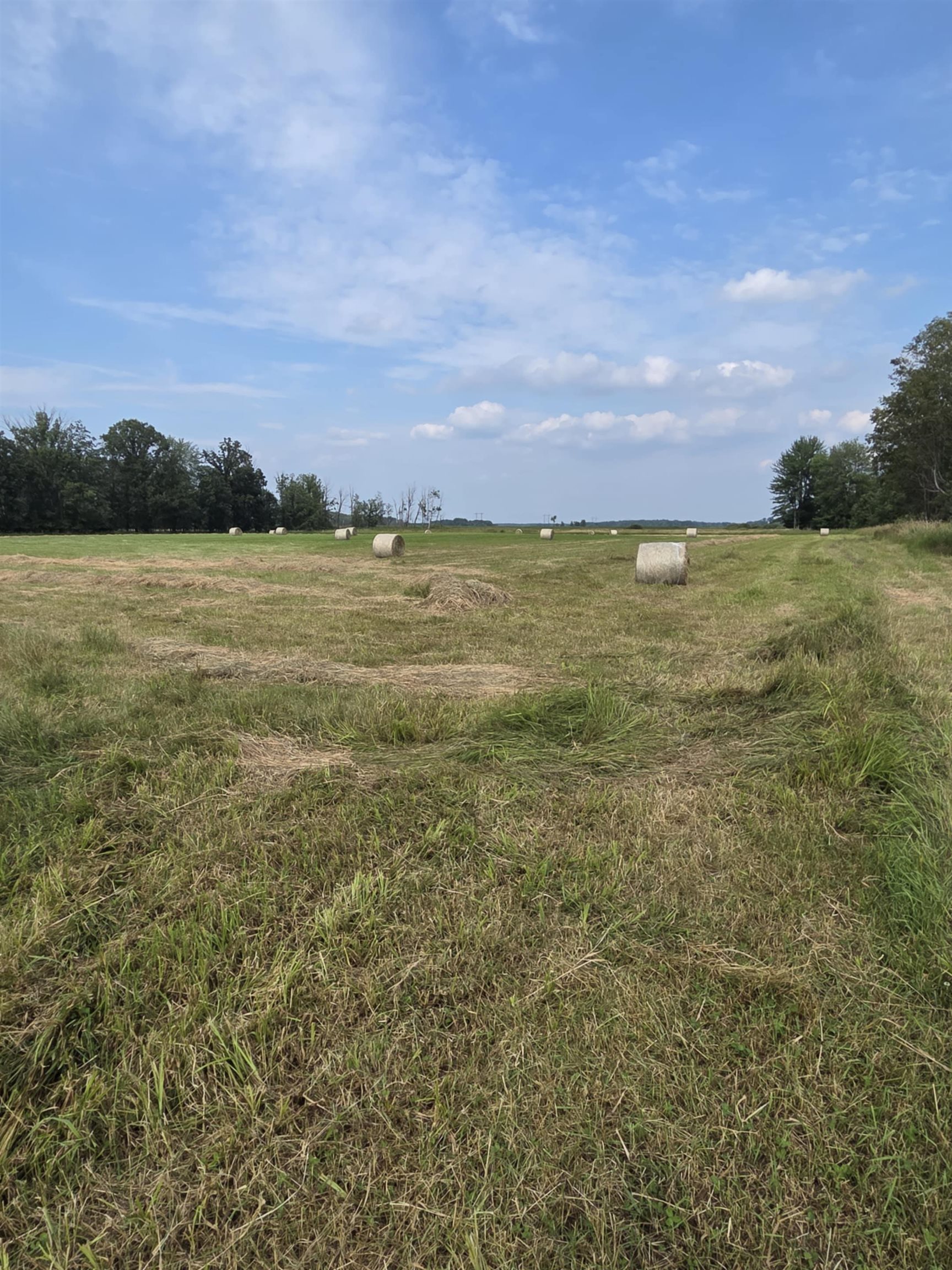 40 Acres COUNTY ROAD II, Rudolph, Wisconsin 54475, ,Land,For Sale,40 Acres COUNTY ROAD II,22604643