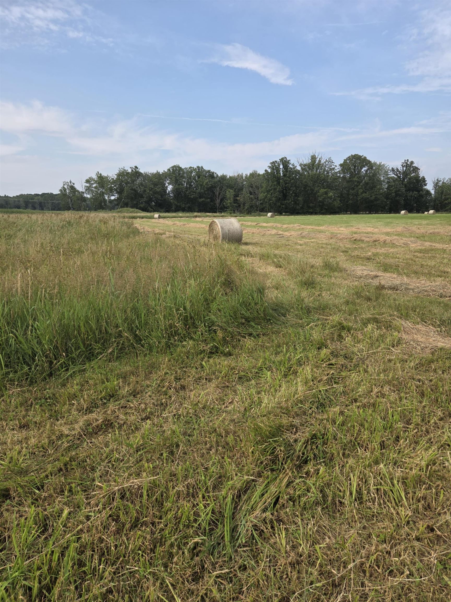 40 Acres COUNTY ROAD II, Rudolph, Wisconsin 54475, ,Land,For Sale,40 Acres COUNTY ROAD II,22604643