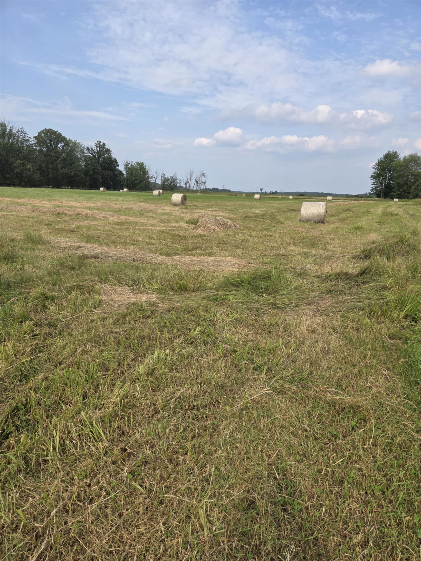 40 Acres COUNTY ROAD II, Rudolph, Wisconsin 54475, ,Land,For Sale,40 Acres COUNTY ROAD II,22604643